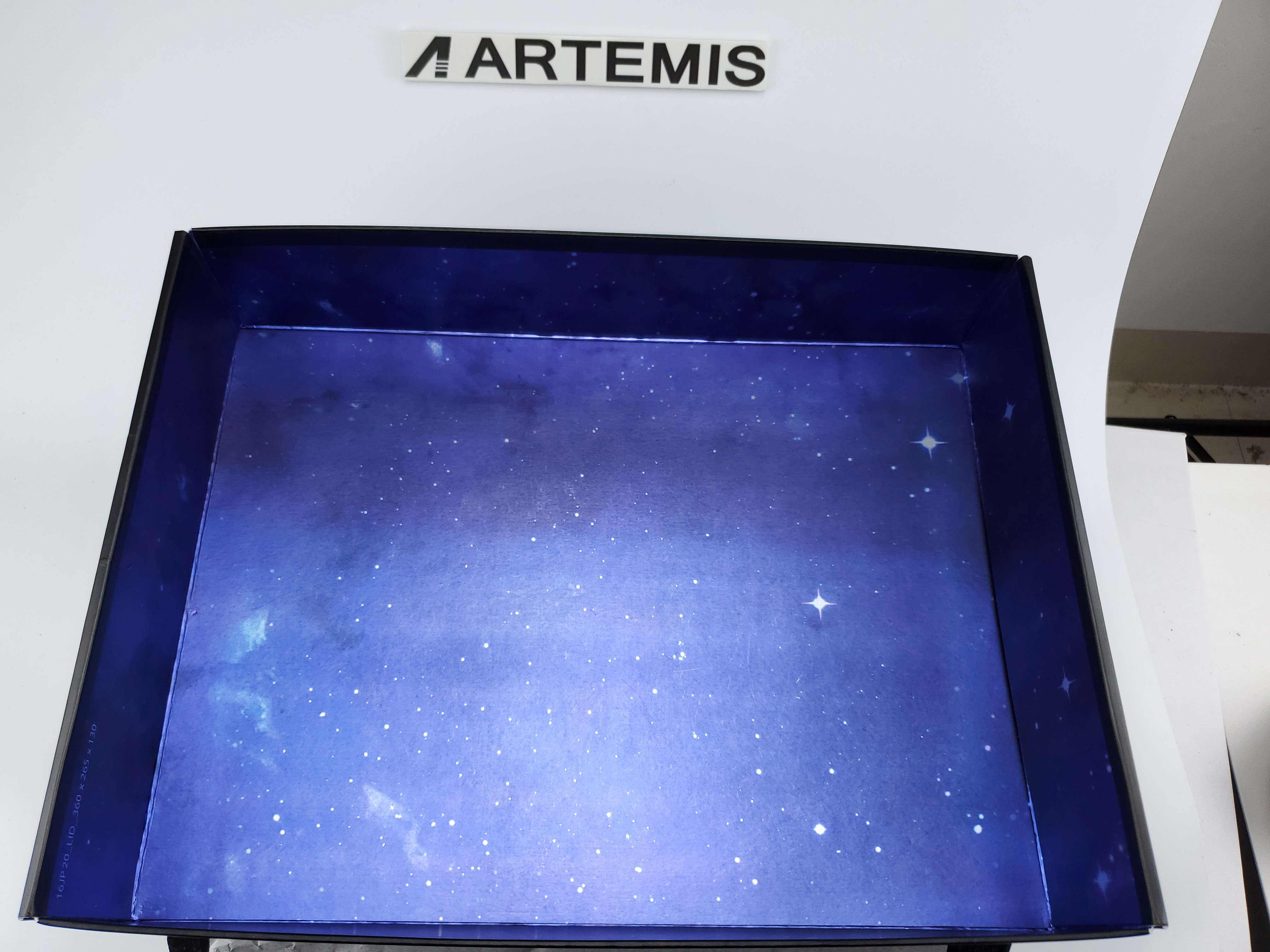 Jordan 11 Retro Space Jam (2016)