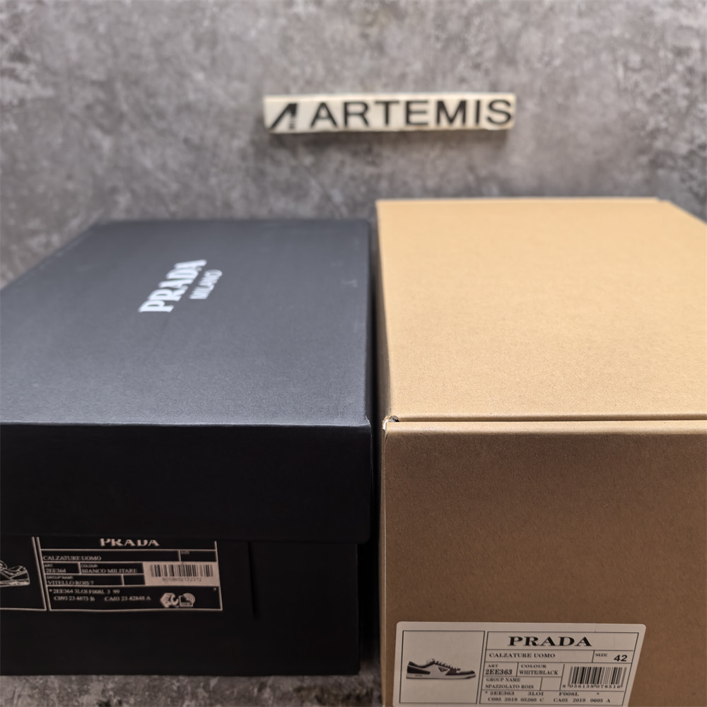 UA Pra*a Downtown Low Top Sneakers