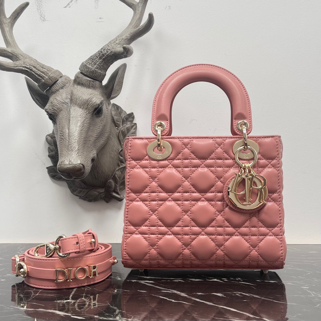 Small Lady D*0r My ABCD*0r Bag 8 x 6.5 x 3 inches