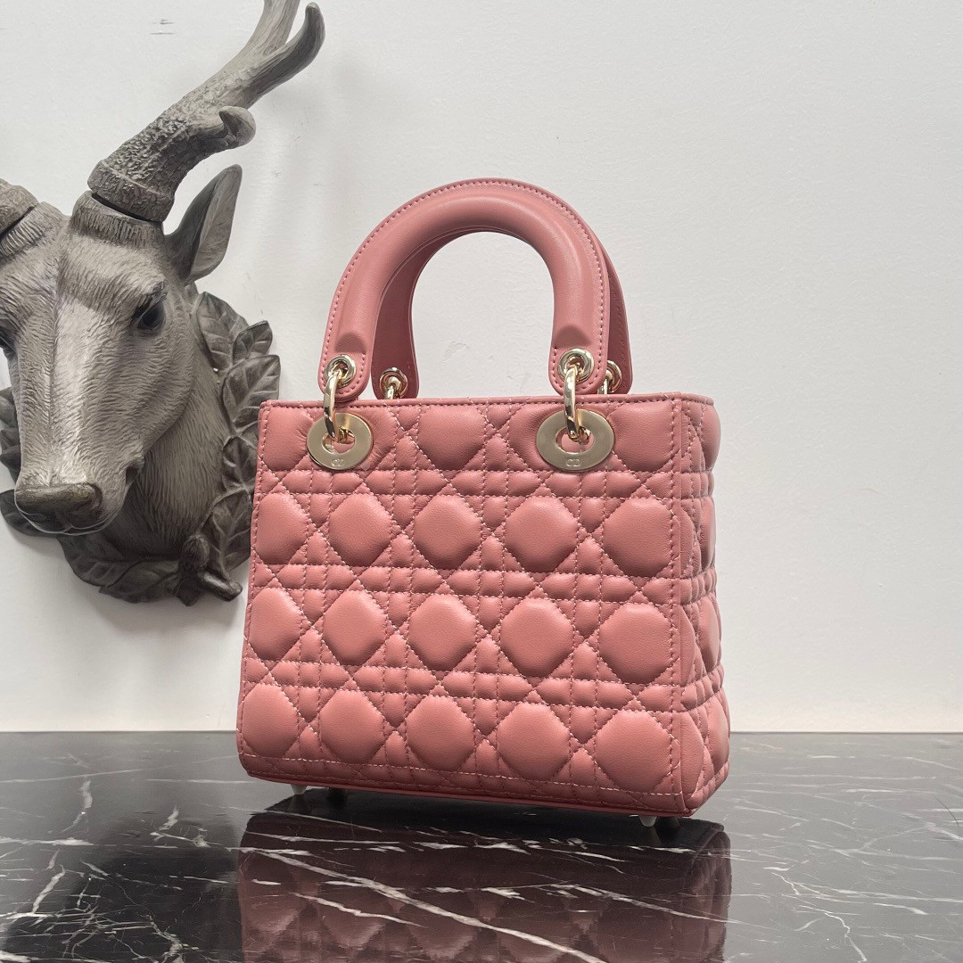 Small Lady D*0r My ABCD*0r Bag 8 x 6.5 x 3 inches