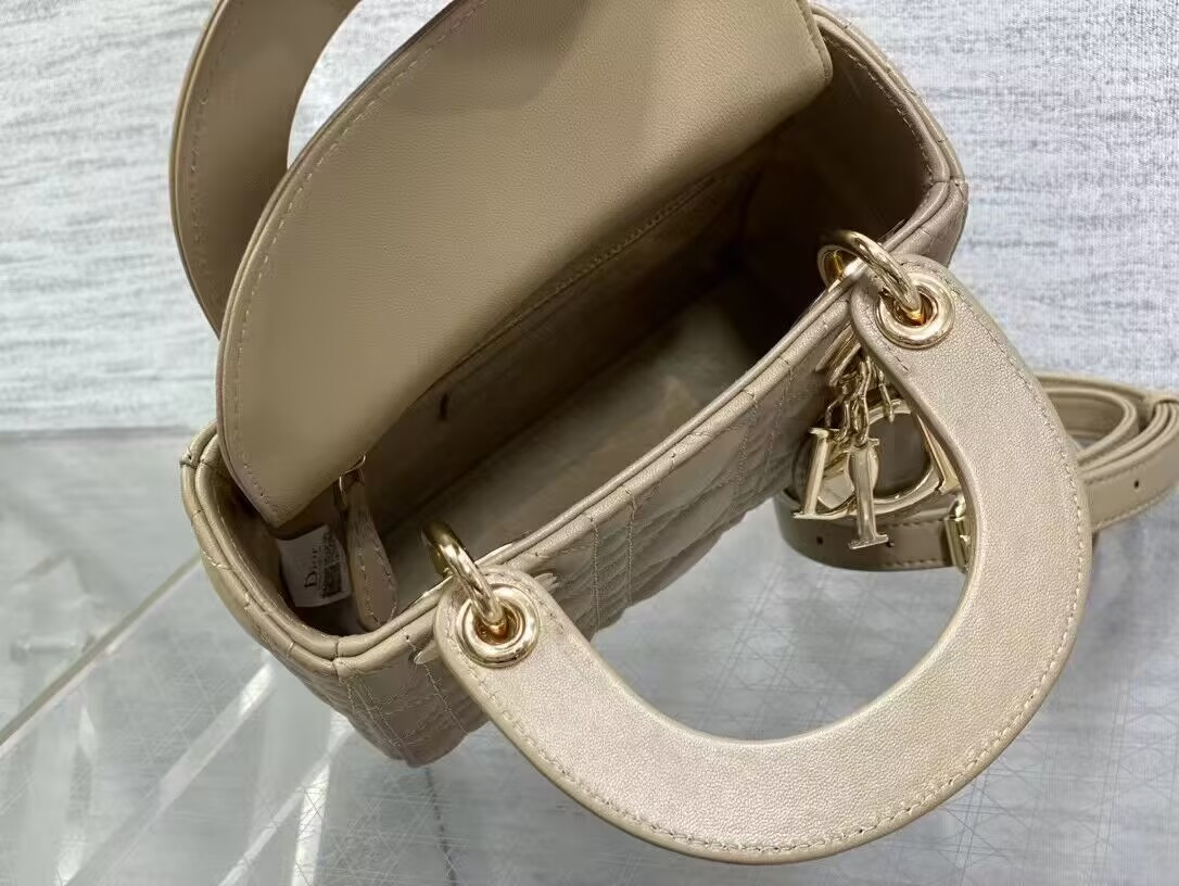 MINI LADY D*0r BAG 17x7x15cm