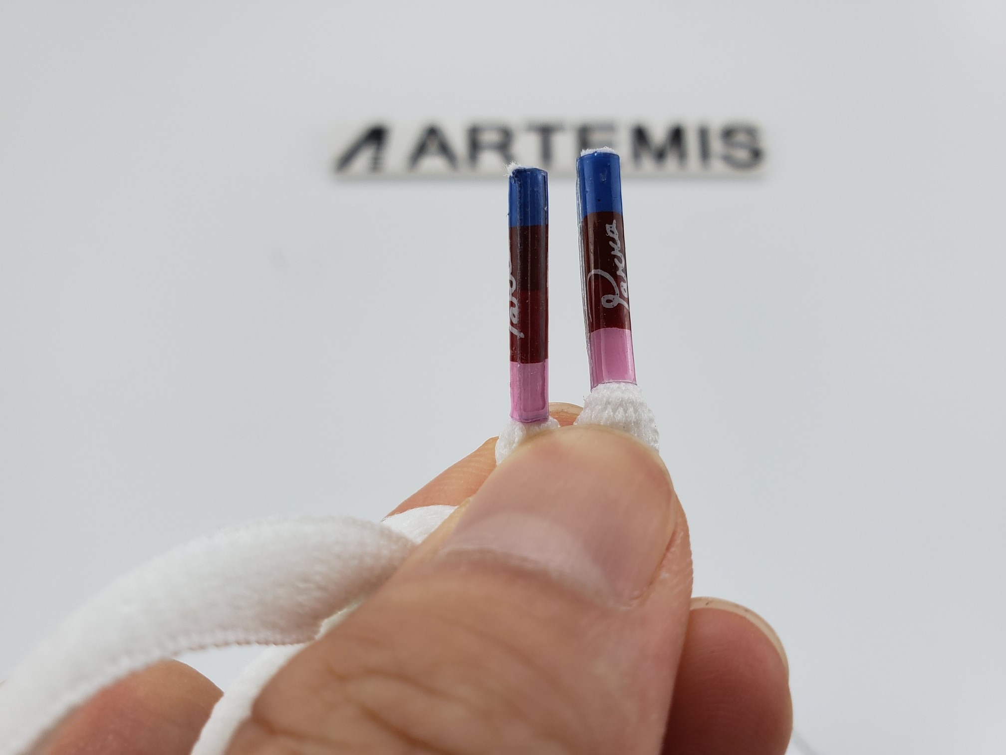 Nike SB Dunk Low Parra