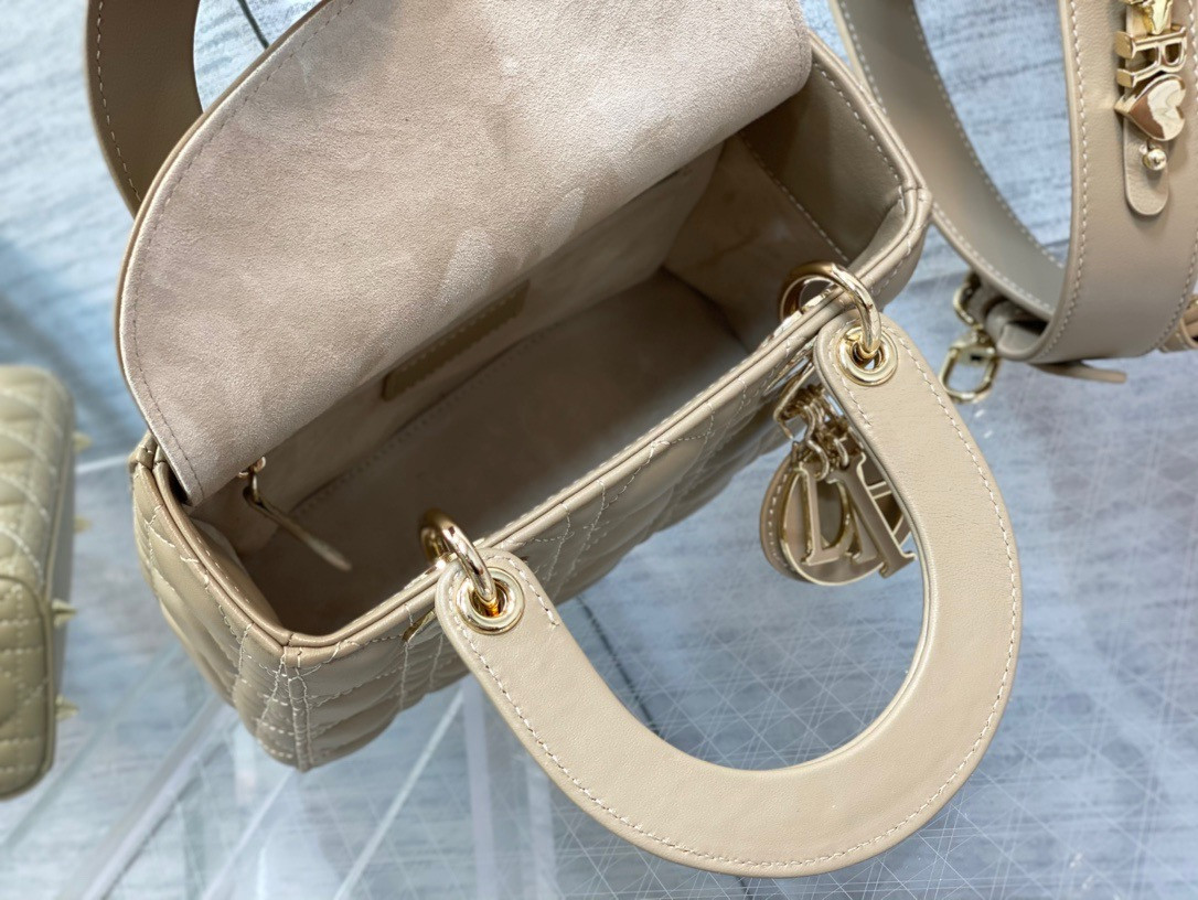 Medium Lady D*0r Bag 24 x 20 x 12 cm