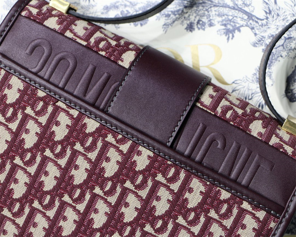 D*0r 30 MONTAIGNE CHAIN BAG ROSERED 24x18x8 cm