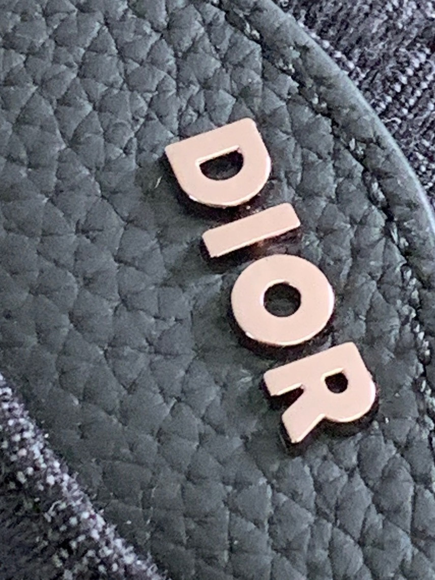 Mini D*0r Scarab Bag 28 x 12.2 x 3.8 cm