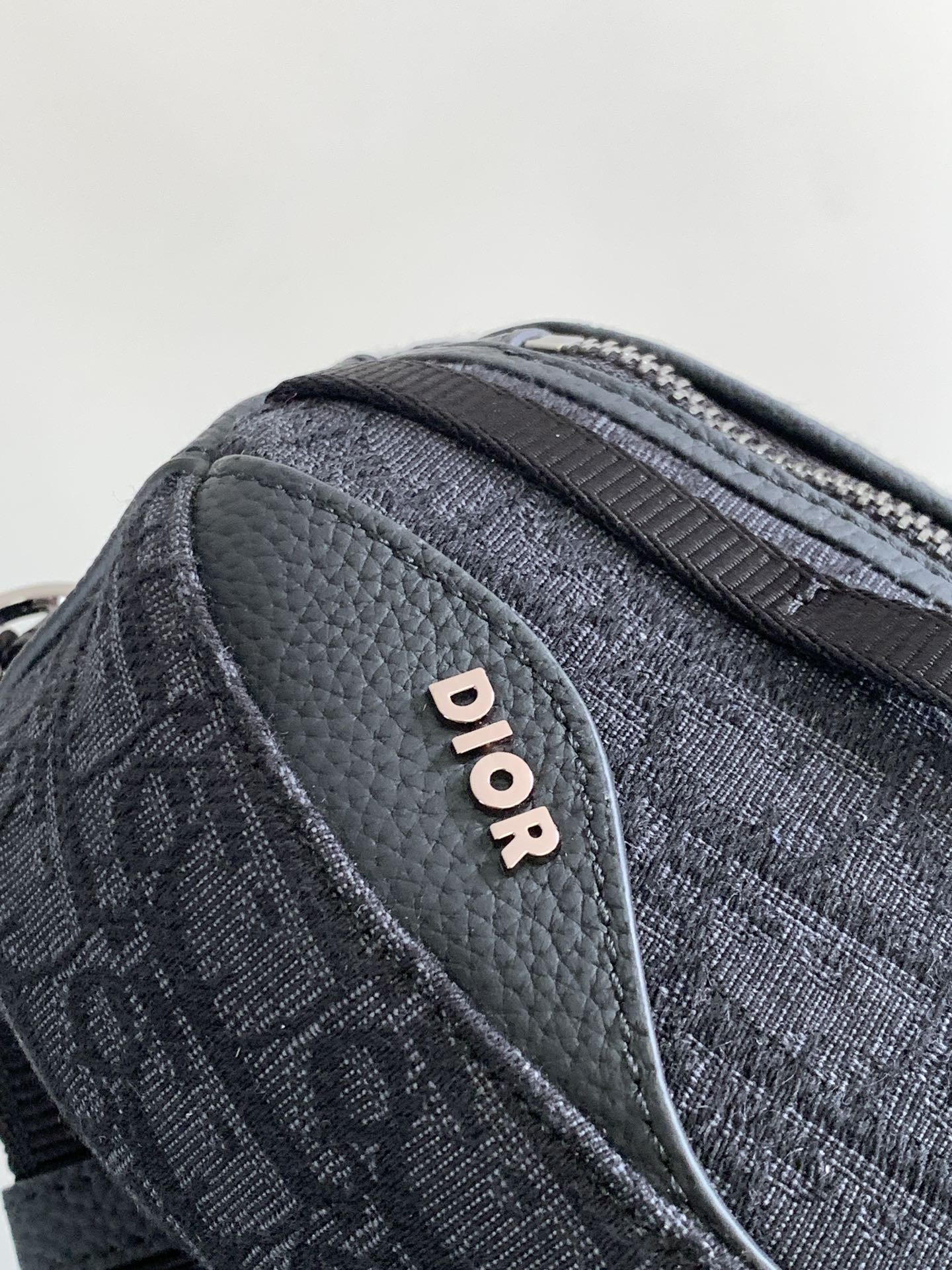 Mini D*0r Scarab Bag 28 x 12.2 x 3.8 cm