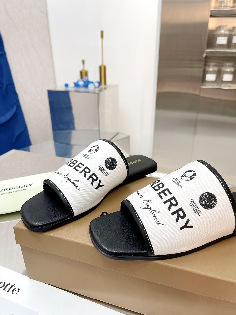 UA B**rry Slides