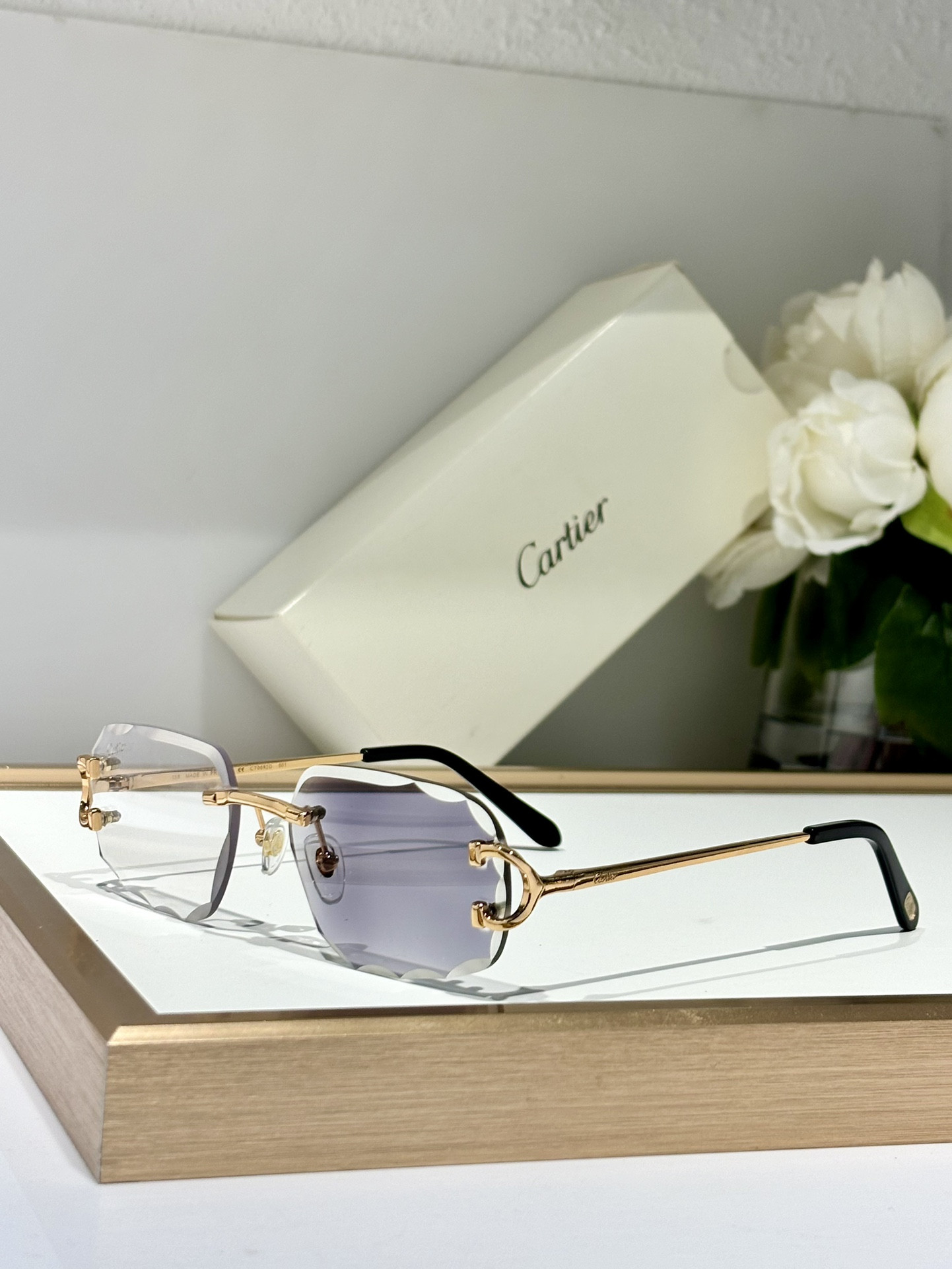 Ca*t*er Glasses Photochromic lenses CT0092 55-18-145